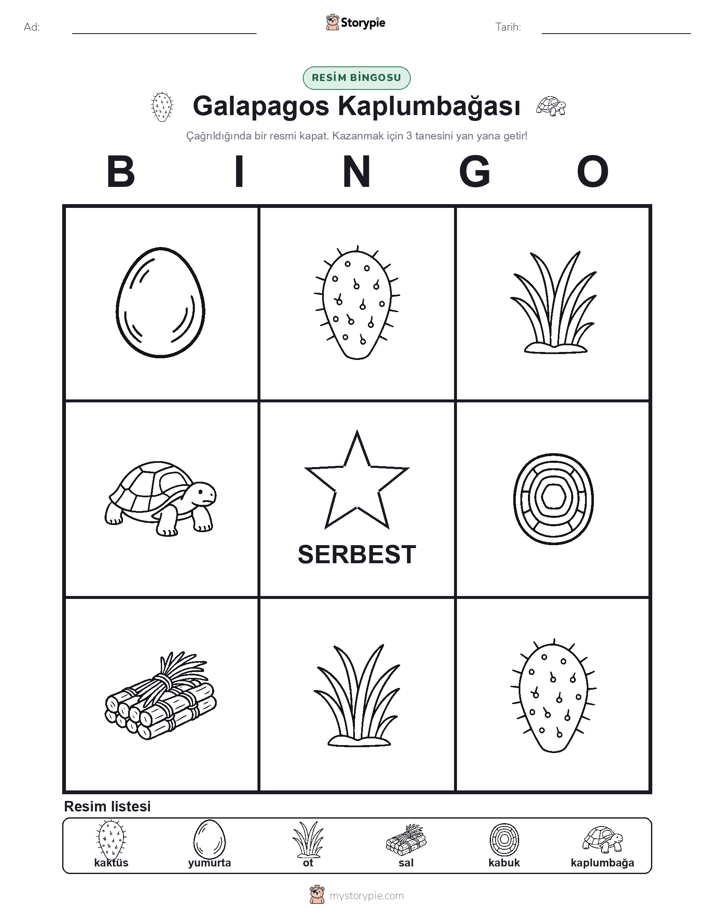 Resim Bingo