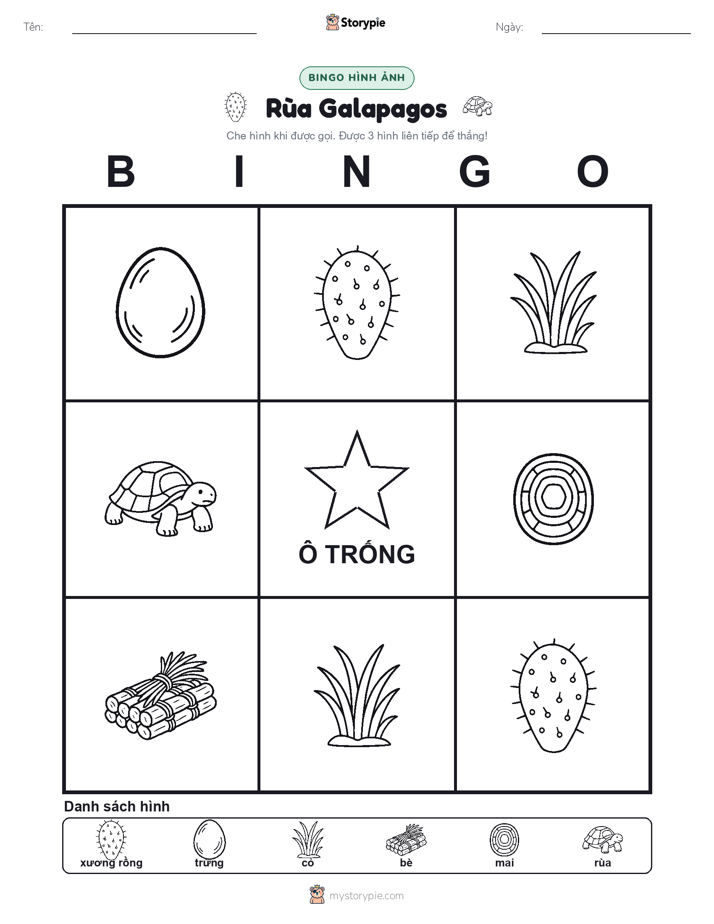 Bingo Hình Ảnh