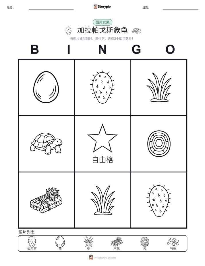 图片宾果