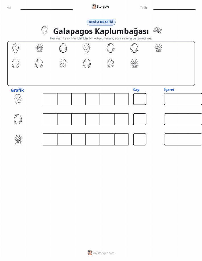 Say & Grafik