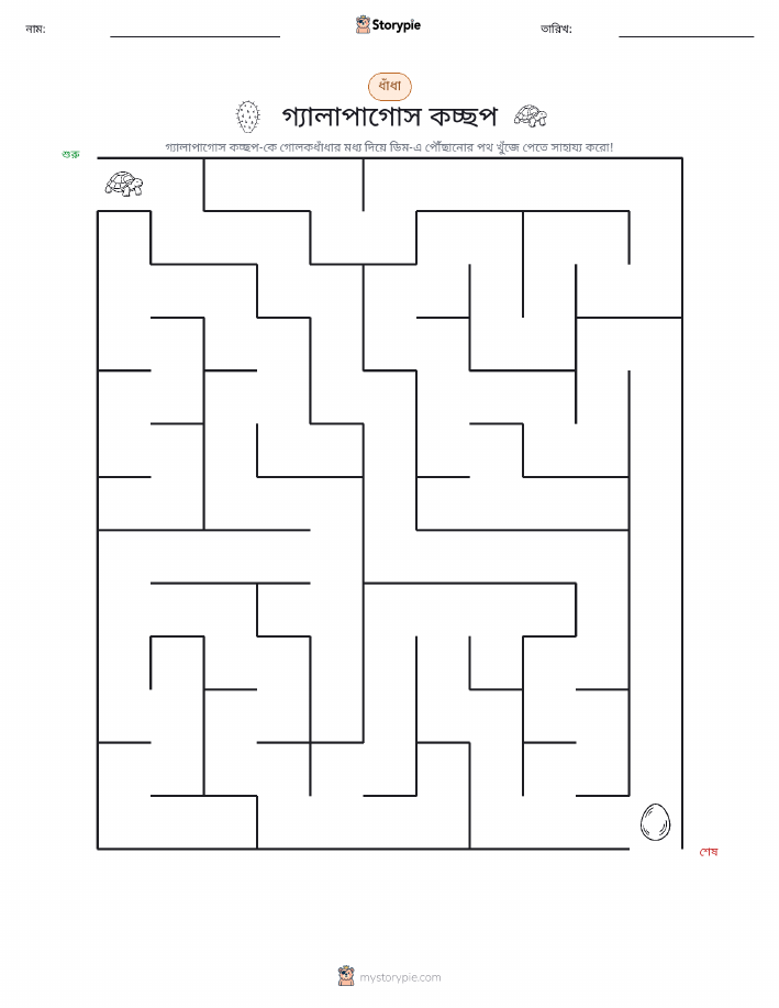 মেজ