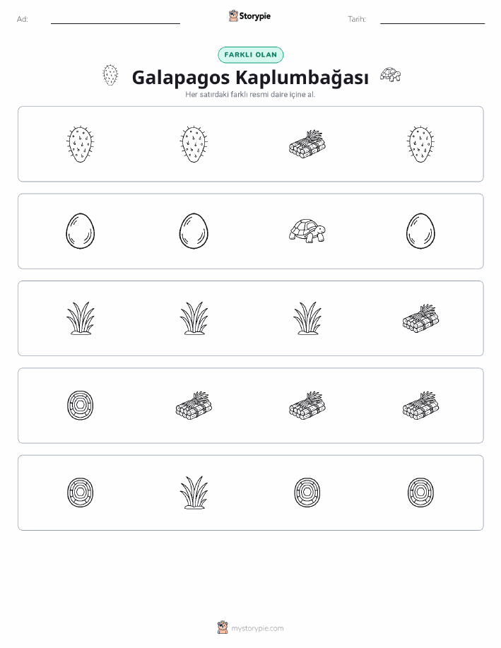 Farklı Olanı Bul