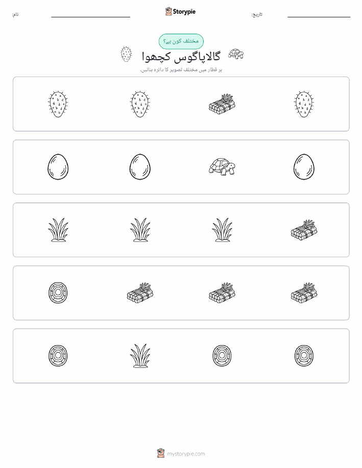 عجیب ایک