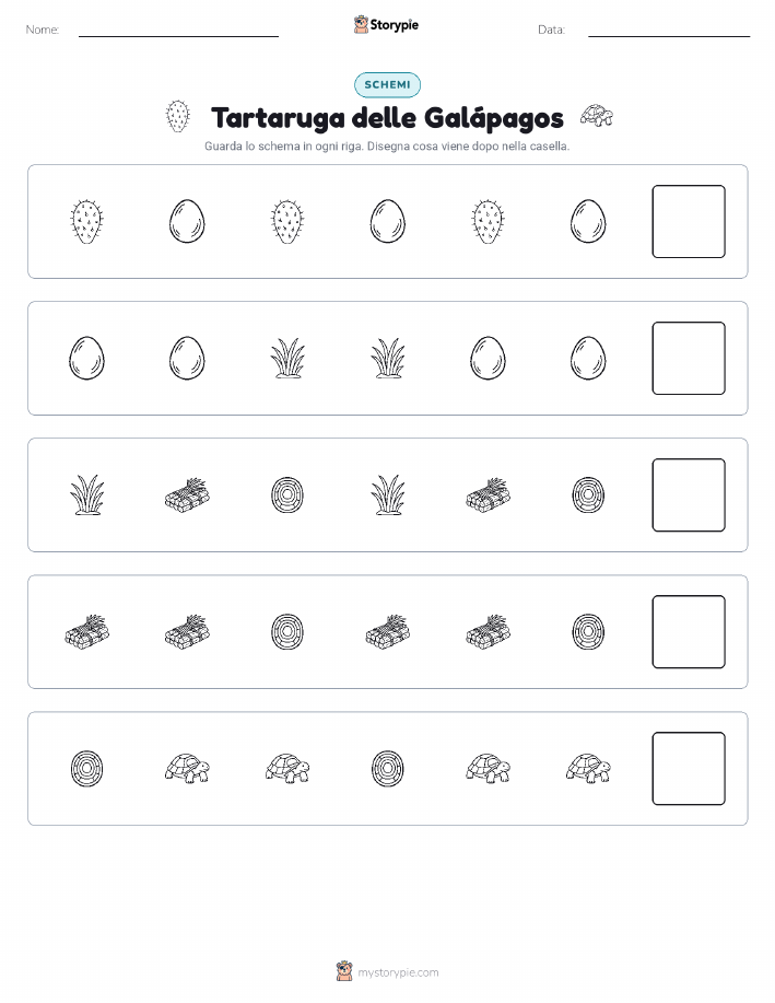 Pattern
