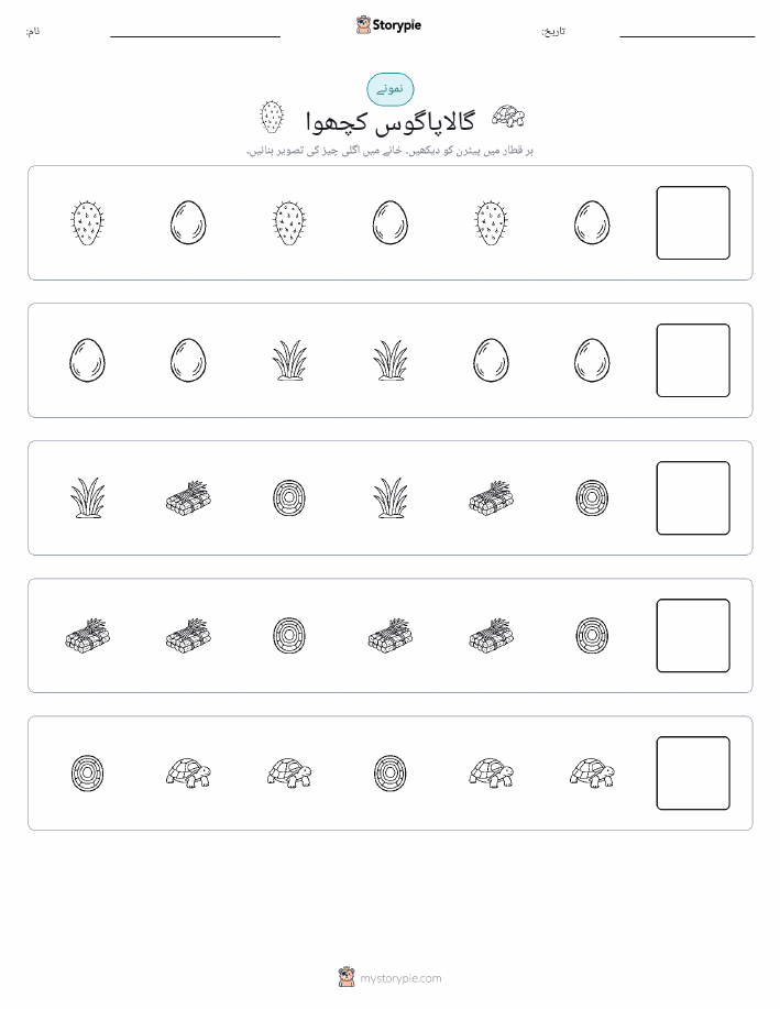 پیٹرن