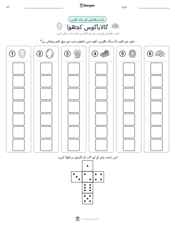 رول اور رنگ