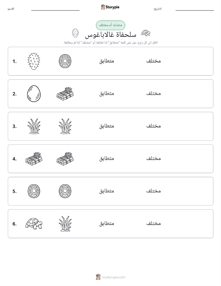 نفس أو مختلف