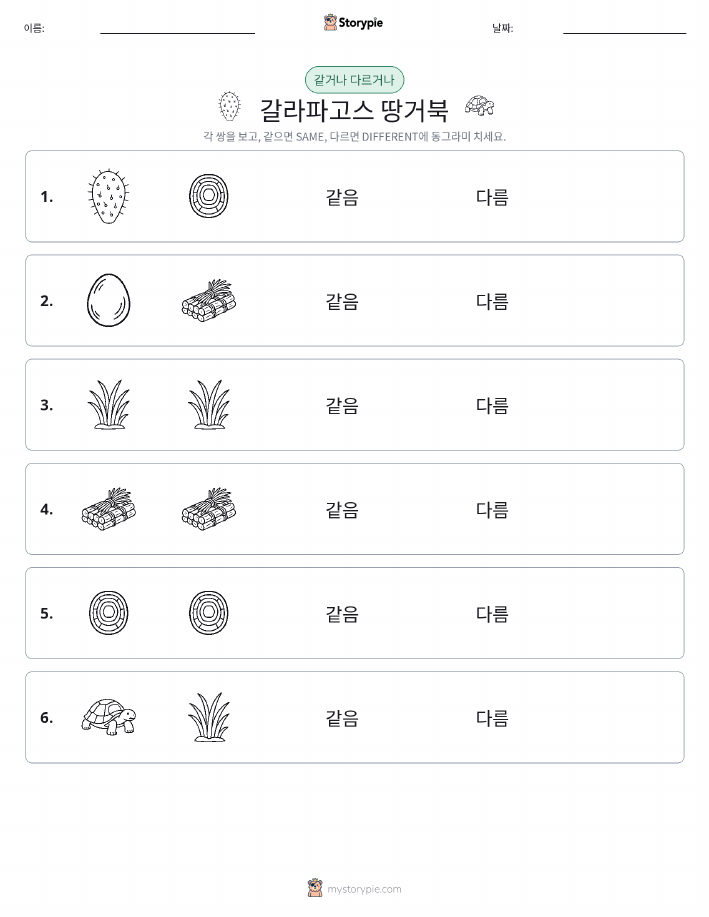 같은 것 또는 다른 것