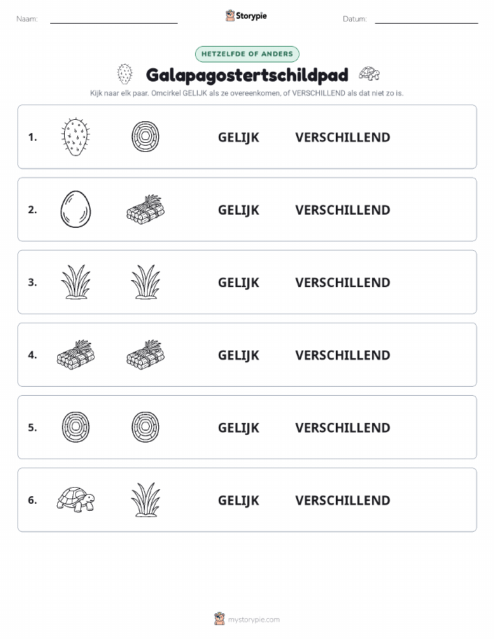 Zelfde of Verschillend