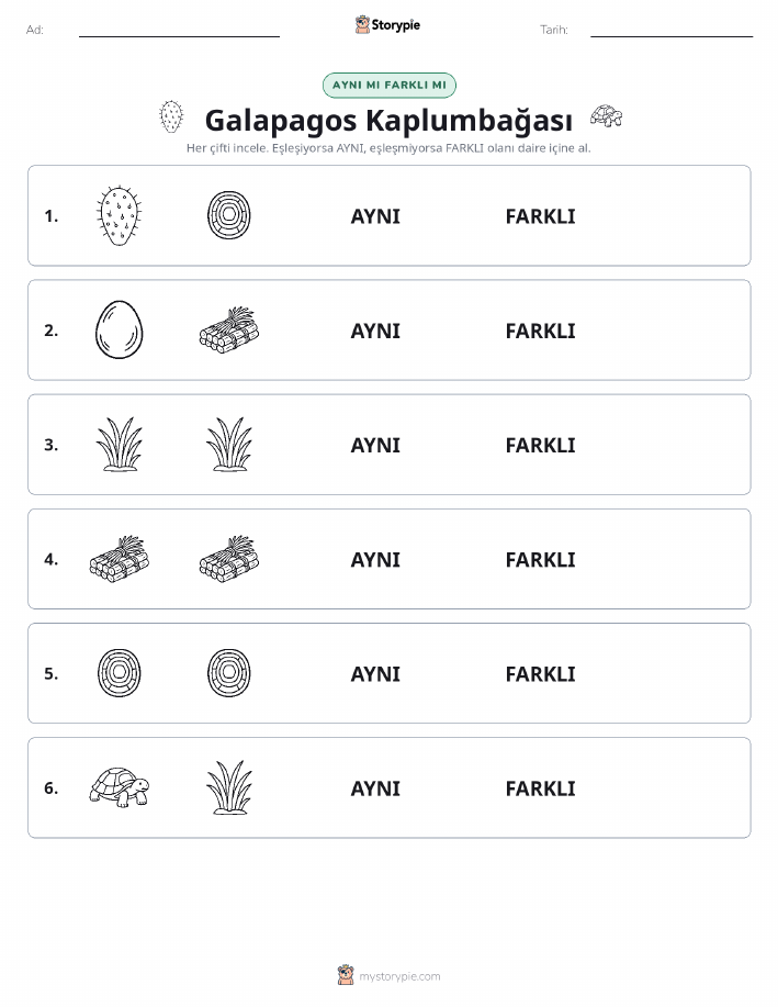 Aynı mı Farklı mı