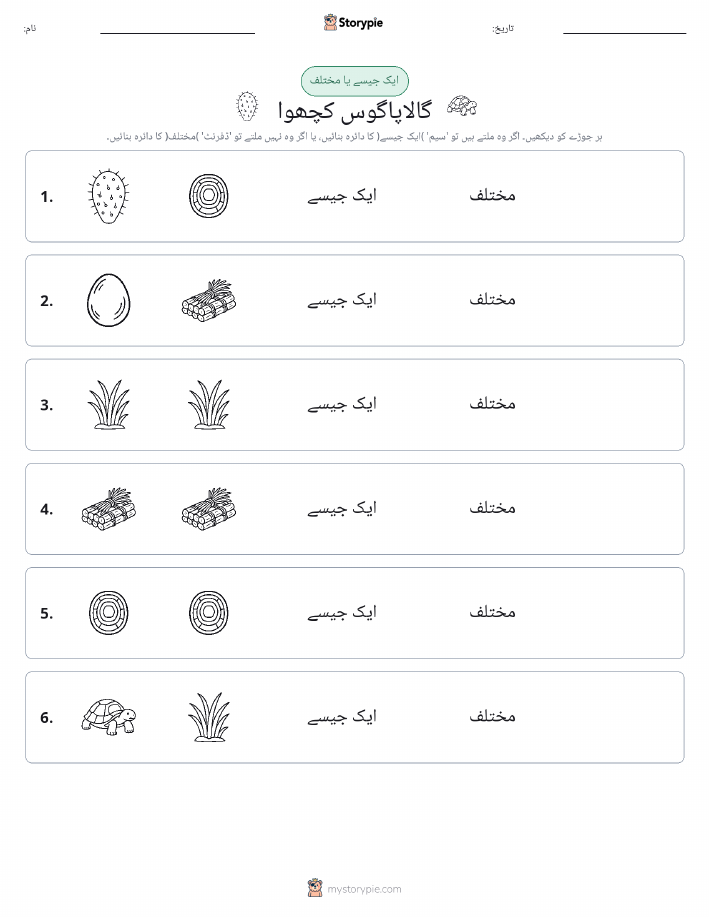 ایک جیسا یا مختلف