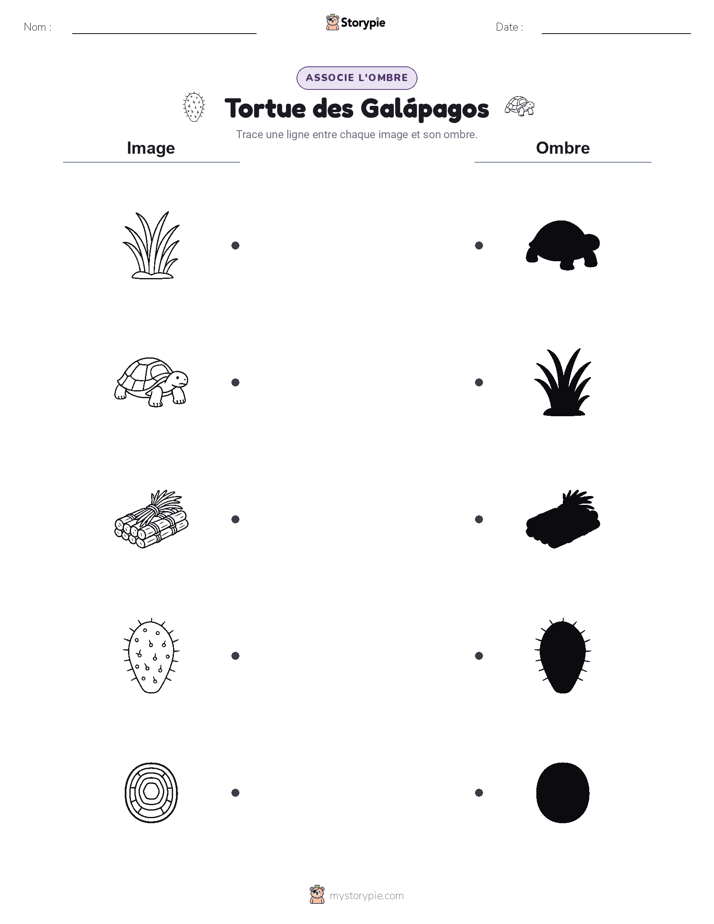 Correspondance d'Ombres