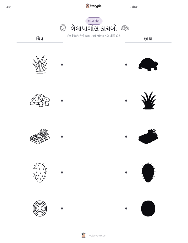 શેડો મેચ