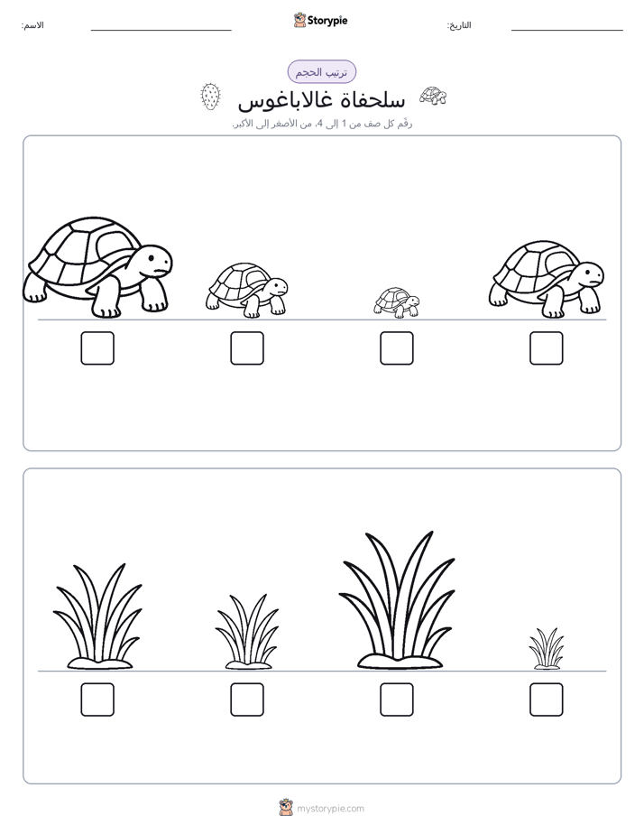 ترتيب الحجم