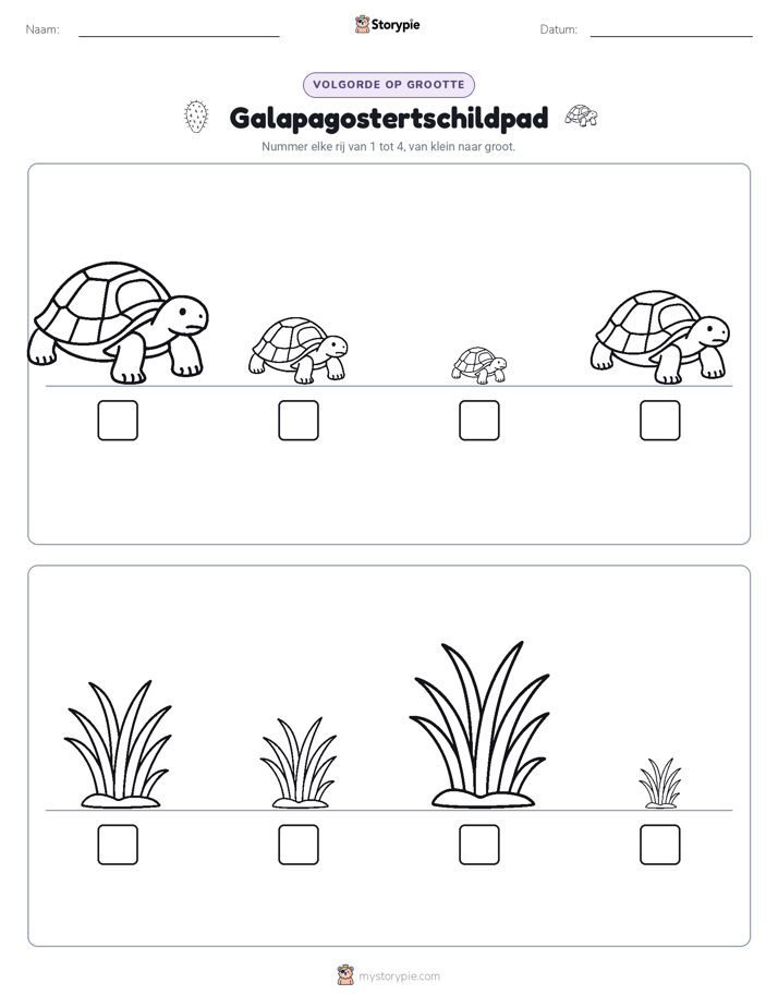Grootte Volgorde