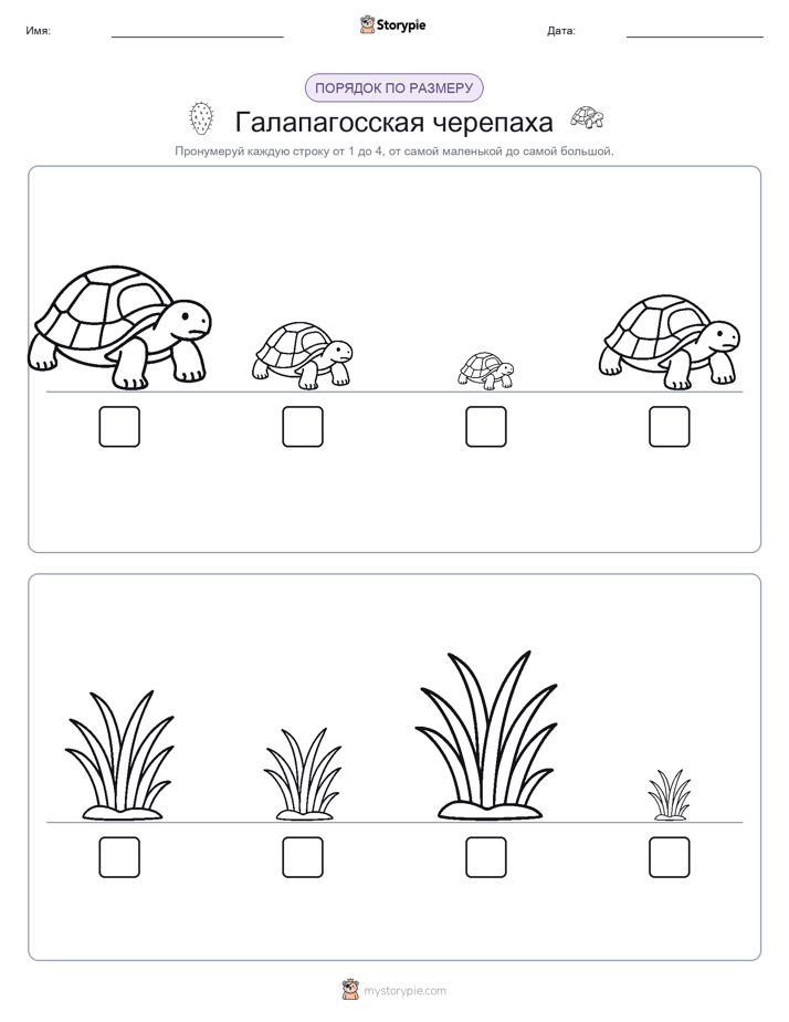 Размеры в порядке