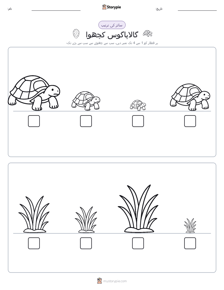 سائز کی ترتیب