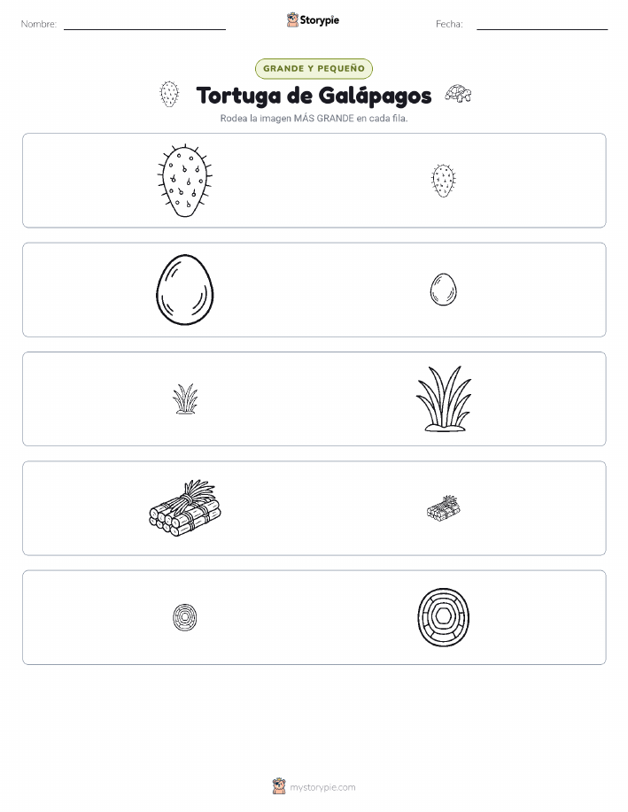 Clasificación
