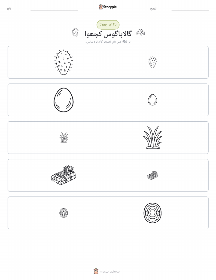ترتیب دینا