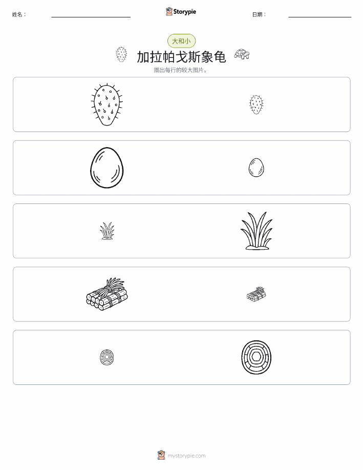 分类