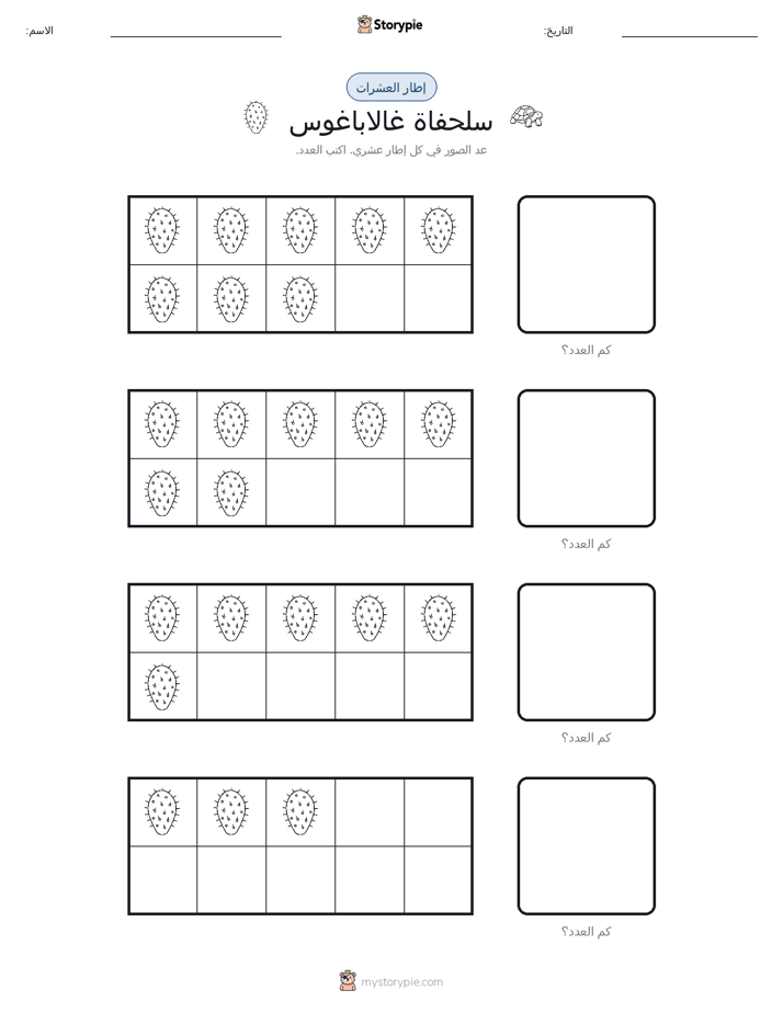إطار العشرة