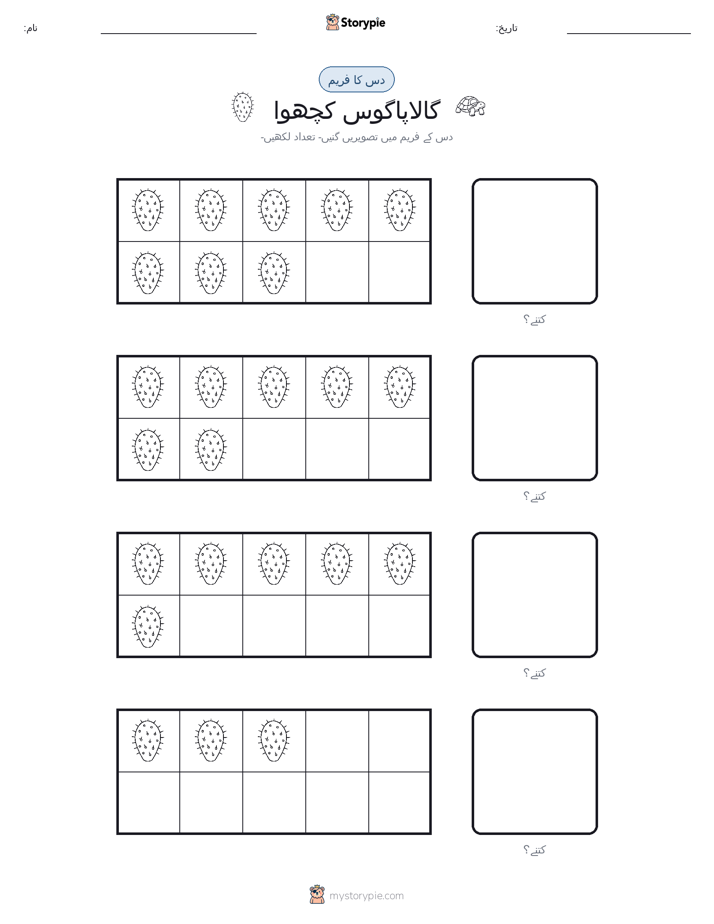 دس کا فریم
