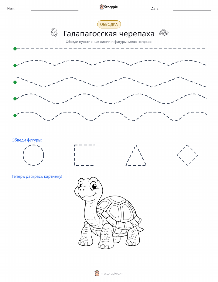 Обводка