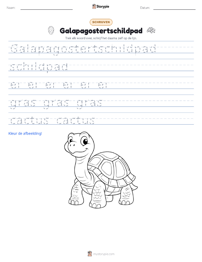 Schrijf Oefening