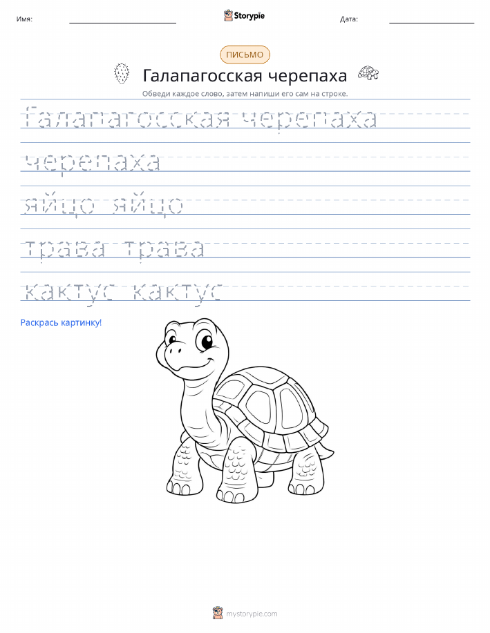 Практика письма