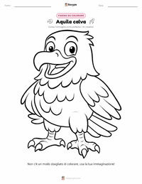 Pagina da colorare di Aquila di mare testabianca per bambini