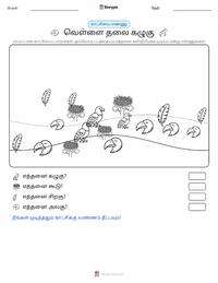 வெண்தலைக் கழுகு அச்சிடக்கூடிய வேலைப்பதிவின் முன்னோட்டம்