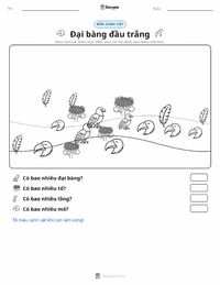 Xem trước tài liệu in sẵn Đại bàng đầu trắng