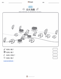 白头海雕 可打印工作表预览