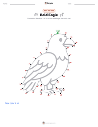 Bald Eagle printable worksheet preview