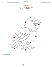 白头海雕 可打印工作表预览