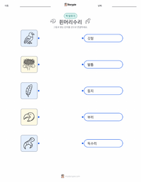 흰머리수리 어린이용 인쇄 가능한 워크시트