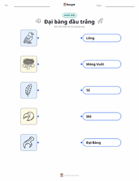 Tài liệu in sẵn Đại bàng đầu trắng cho trẻ em