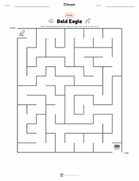 Bald Eagle printable worksheet preview