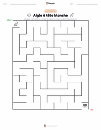 Aperçu de la feuille de travail imprimable Pygargue à tête blanche