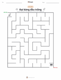 Xem trước tài liệu in sẵn Đại bàng đầu trắng