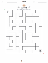 白头海雕 可打印工作表预览