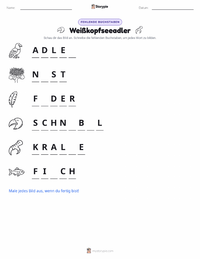 Weißkopfseeadler druckbare Arbeitsblatt Vorschau