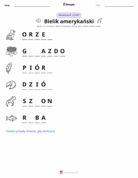 Podgląd drukowalnego arkusza ćwiczeń Bielik amerykański