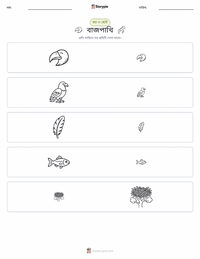 বল্ড ঈগল মুদ্রণযোগ্য কাজের পৃষ্ঠার প্রিভিউ