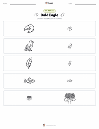 Bald Eagle printable worksheet preview