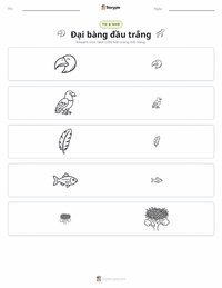 Xem trước tài liệu in sẵn Đại bàng đầu trắng