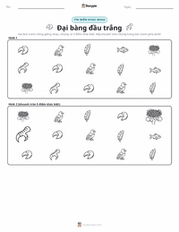Xem trước tài liệu in sẵn Đại bàng đầu trắng