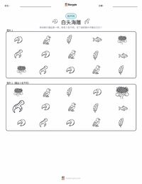 白头海雕 可打印工作表预览