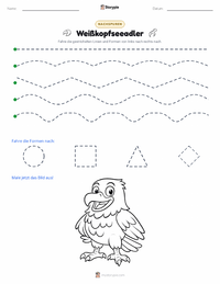 Weißkopfseeadler druckbare Arbeitsblatt Vorschau