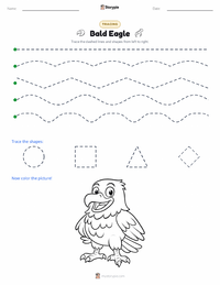Bald Eagle printable worksheet preview